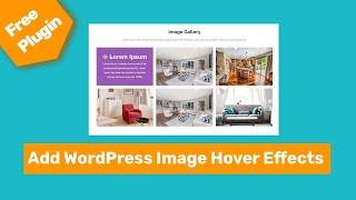 How To Add WordPress Image Hover Effects Using Elementor page builder