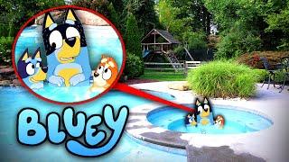 BLUEY & BINGO POOL PARTY IN REAL LIFE!! (BLUEY MOVIE)