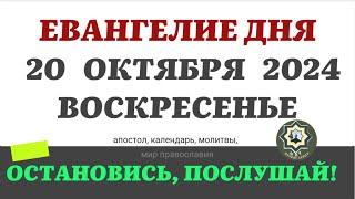 20 ОКТЯБРЯ ВОСКРЕСЕНЬЕ ЕВАНГЕЛИЕ АПОСТОЛ ДНЯ ЦЕРКОВНЫЙ КАЛЕНДАРЬ 2024 #мирправославия