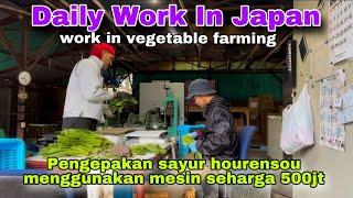 Daily Work In Japan ll Kerja Sesantai ini Berapa Gajinya?