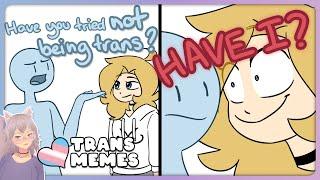 TRANS memes to end off the year :3 ️‍️ Trans Wolf Witch  VTuber React  r/traaa2 r/egg_irl