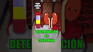 🫘Como Hacer la Determinación de CREATININA en el Laboratorio Clínico-Tutorial