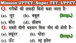 UPTET 2021 || Junior Super TET EVS Most Important Questions || Super TET Model Paper || UPPET GK