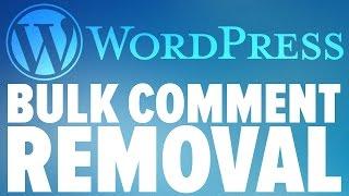 Remove Wordpress Spam Comments in Bulk - Step-by-Step Tutorial