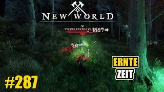 New World - Erntezeit | LP | Deutsch | 287