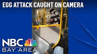 Caught on Video: Egg Attack on Muni Bus in San Francisco