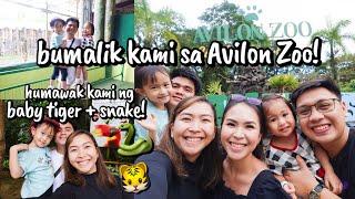 Avilon Zoo December 2023! | ANIMAL FEEDING! Humawak kami ng Tiger at SAWA! | #landasfamvlogs