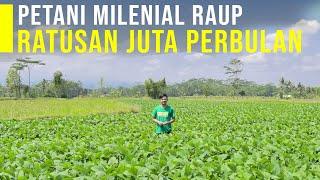 Salut, Petani Muda Raup Omzet Ratusan Juta Dan Memberdayakan Pemuda Melalui PKK Milenial