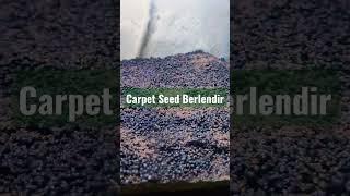 Hari Pertama Penanaman Carpet Seed #aquascape #carpetseed #aquascaping #aquascapepemula