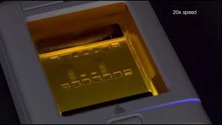 How To Quickly Purify DNA with E-Gel CloneWell II Gels