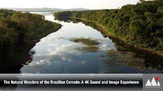 The Natural Wonders of the Brazilian Cerrado: A 4K Sound and Image Experience #cerradobrasileiro