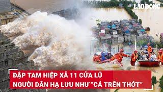 Đập Tam Hiệp xả đến 11 cửa lũ lo sợ không trụ nổi, người dân hạ lưu Trung Quốc như “cá trên thớt”