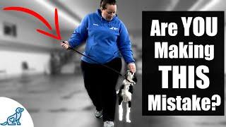 5 Reasons Your Leash Walking Training Isn’t Working