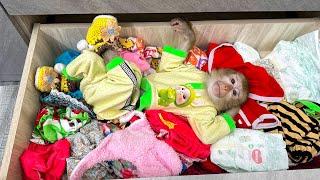 Monkey Kaka sleeping alone in the closet looks so pitiful