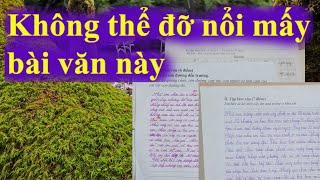 Những bài văn bá đạo ngây ngô khó đỡ của các em học sinh #256