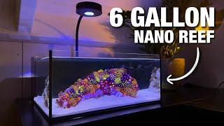 Setting up my New Nano Reef Tank: Step by Step Tutorial