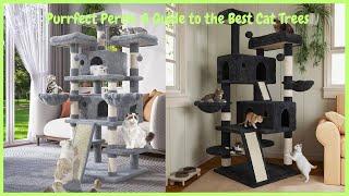 large cat tree tower best cat scratcher cat scratchers sisal