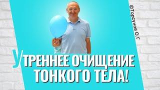 Утреннее очищение тонкого тела, чтобы остановить механизм разрушения! Торсунов лекции