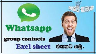 How to extract whatsapp group contacts into Excel easy method | Sinhala