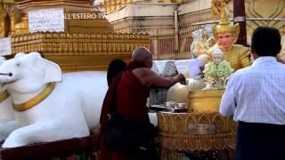 Momenti nella Shwedagon Pagoda - Fabio Campo - ITALIANI ALL'ESTERO TV