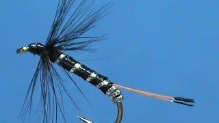 Beginner Fly Tying a Black Pennell with Jim Misiura