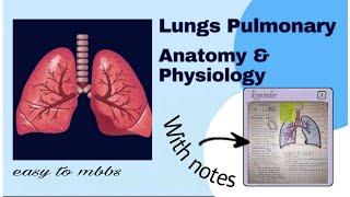 How to study Lungs Anatomy and Physiology for all medical field??