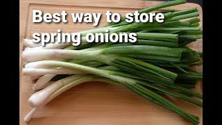 How to store spring onions//Best way to store spring onions//Perfect method 