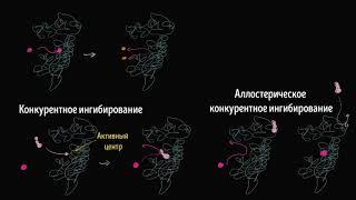 Конкурентное ингибирование ферментов (видео 16)  | Энергия | Биология