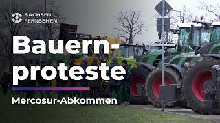 Erneut BAUERNPROTEST vor dem SÄCHSISCHEN LANDTAG I Sachsen Fernsehen