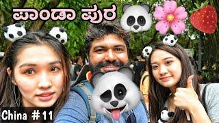 How to meet the PANDA'S in China? | ENG SUBS | Global Kannadiga