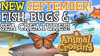 ALL New September Fish, Bugs, and Sea Creatures in Animal Crossing New Horizons!