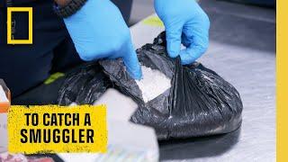  LIVE: Cocaine, Contraband, and Cartel Money: To Catch a Smuggler | S3 FULL EPISODES | @NatGeo