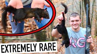 I Hunted EXTREMELY RARE Melanistic Squirrels! (1 in 10,000)