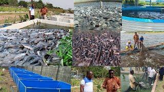 THE BIGGEST MOBILE FISH FARM IN GHANA OWNED BY CoP MEMBER