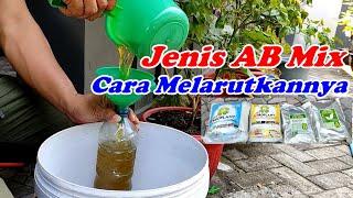 JENIS NUTRISI HIDROPONIK AB Mix dan Cara Melarutkannya