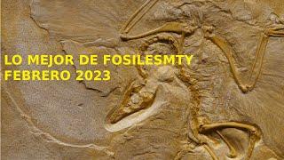 Lo MEJOR de FOSILESMTY, Febrero 2023