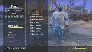 PVP Warden Healer One Bar ESO