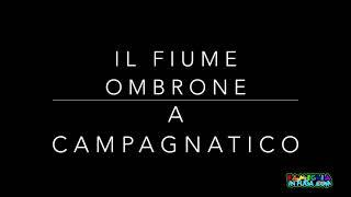 Il fiume Ombrone a Campagnatico 4K