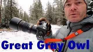 What a Morning! Landscape Photography and a Great Gray Owl in Fresh Snow