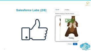 Salesforce Automation Hour (2/7/20) - David Litton