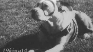 Petie rare Training film, Little Rascals' Pete the Pup, Our Gang