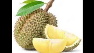 a_story_about_the_durian_squashers.mp4