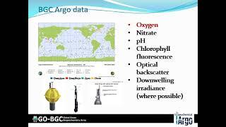 Shuhei Masuda: Global ocean state estimation by using BGC Argo data