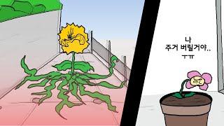 Street plants vs. home plants Animation