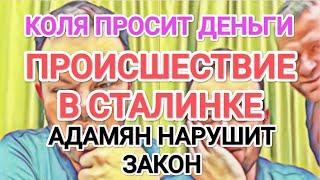 Самвел Адамян ЧП В СТАЛИНКЕ / АДАМЯН НАРУШИТ ЗАКОН / КОЛЯ НАТВОРИЛ