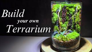 10 WICHTIGE Terrarium-Tipps für Anfänger