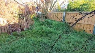 Fixing an Overgrown Mess | Garden Transformation