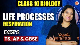 Life Processes | RESPIRATION | Part 2 |  Class 10 Biology TS, AP & CBSE | Sunaina Ma'am