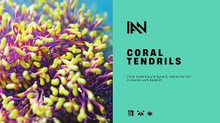 Dynamic Coral Tendrils in Houdini (Patreon Tutorial)