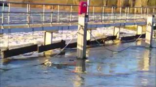 Trip on the flooded River Thames